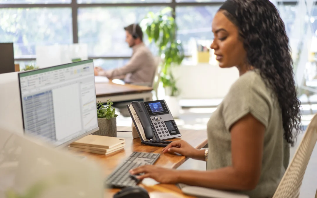 IT Business Development Manager vacancy at Mastercopy